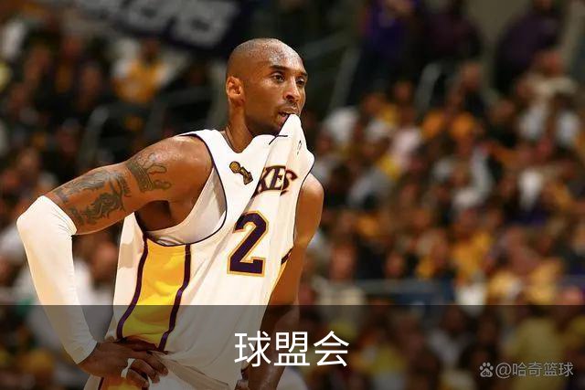 球盟会公司简介